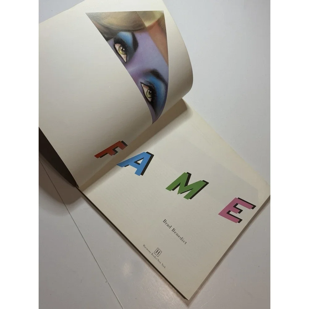 FAME Brad Benedict 1980 New Wave Pop Art Book Andy Warhol David Bowie Paintings